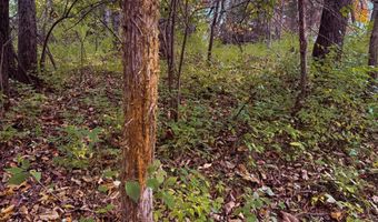 170 Th St, Albia, IA 52531