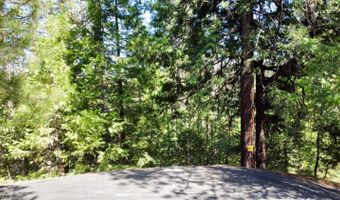 1647 Gertrude Way, Arnold, CA 95223
