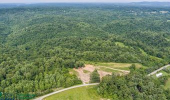 Tract # 3 Willis Creek Rd, Albany, KY 42602