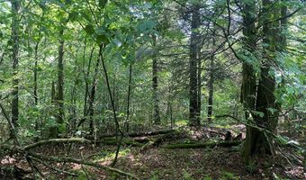 Cr-38, Alma, NY 14708