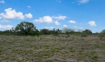 County Road 1701 lot 0, Alice, TX 78332