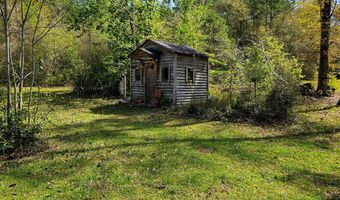 202 Sykes Mill Rd, Climax, GA 39834