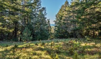 4150 California 1, Albion, CA 95410