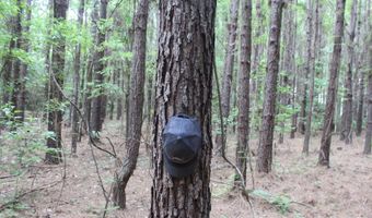 Hwy 550, Brookhaven, MS 39601