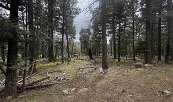 1222 Rainbow Overlook, Angel Fire, NM 87710