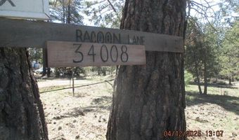34008 Raccoon Ln, Bonanza, OR 97623