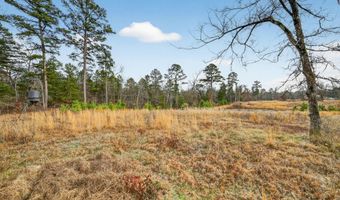 868 County Road 2920, Alba, TX 75410