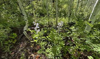 TBD CR 501, Bayfield, CO 81122