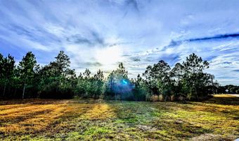 0 Royal Ln Lot 1, Elberta, AL 36530