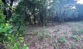 Tbd County Road 335, Anson, TX 79501