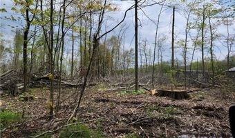 3705 ALEXANDER Rd, Randolph, OH 44201