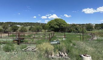 132 E Cedar Road Rd, Capitan, NM 88316