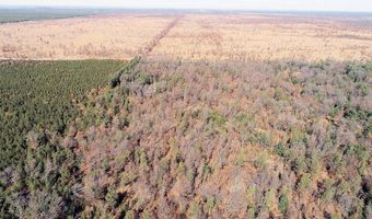 10 Acres County Road C, Arkdale, WI 54613