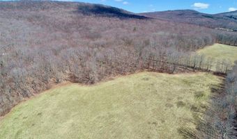 Lot 2 Doig Hollow Road, Andes, NY 13731