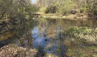Bogue Chitto Road, Bogue Chitto, MS 39629