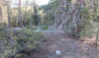 175 Silver Tip Dr, Bear Valley, CA 95223