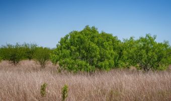 FM 735, Alice, TX 78332