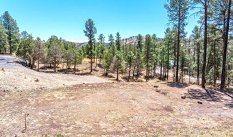 215 Brentwood Dr 2, Alto, NM 88312