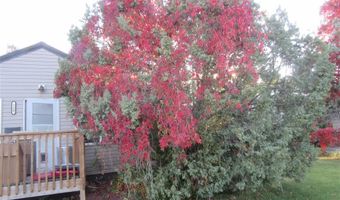 520 Circle Dr E, Cody, WY 82414