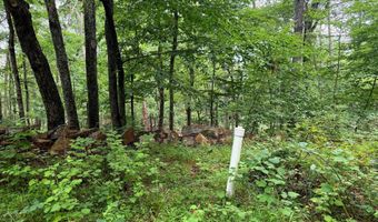 TR D-15 DEER PATH Road, Augusta, WV 26704