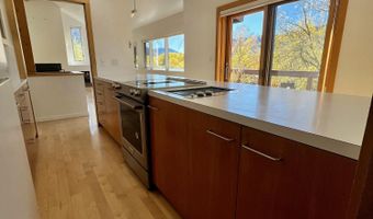 216 E Homestead Dr, Basalt, CO 81621