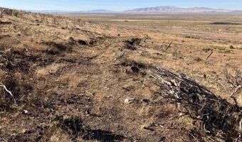 120 Rainbow Road Lot 074-010-11, Gerlach, NV 89412
