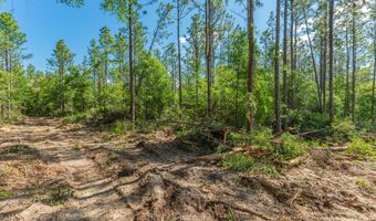 43 5 +/- A Old River Rd, Baker, FL 32531