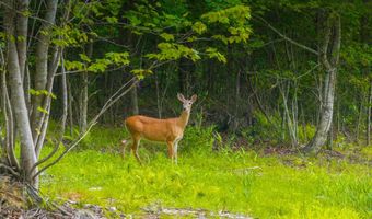 GILBERT STATION RD lot 2, Barboursville, VA 22923