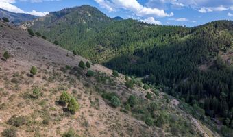 20 42 ACRES SWIFT CREEK Dr, Afton, WY 83110
