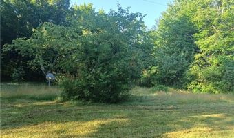 6168 Twitchell Rd, Andover, OH 44003