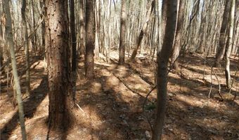 Tbd Oakland Avenue, Asheboro, NC 27205