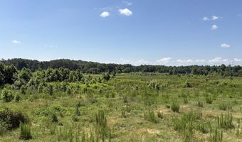 Beauty Hill Rd lot 3, Bethel Springs, TN 38315