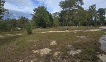 1025 Edison Ave, Alford, FL 32420