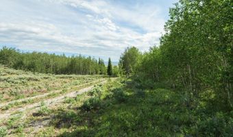 TRACT 14 SPRING HOLLOW ROAD, Daniel, WY 83115