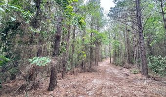 3 County Road 5112, Ethel, MS 38829