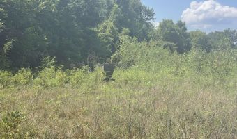 Bolivar Road, Benoit, MS 38725