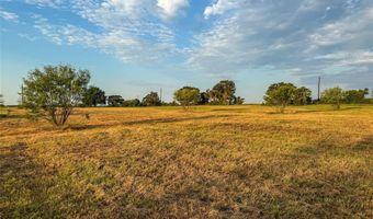 225 County Road 1475, Alvord, TX 76225