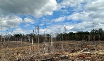 88 County Road 5345, Baldwyn, MS 38824