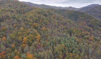 0 N Forks Rd, Amherst, VA 24521