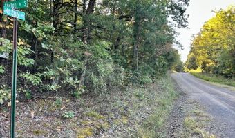 51 Shelton Rd, Bee Branch, AR 72013