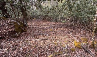 2438 Kellersville Rd, Banner Elk, NC 28604