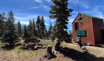 60 Liberty Rd, Arnold, CA 95223
