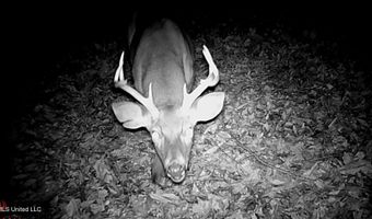 590 County Road 247, Bruce, MS 38915