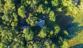 54544 BUCKHORN Rd, Astor, FL 32102