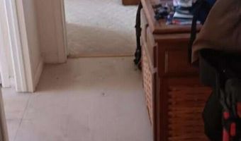 1 Iron Mine Rd, Carlin, NV 89822