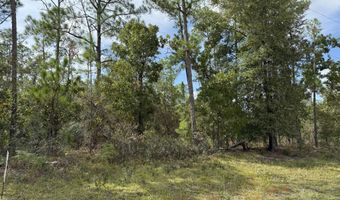 Jefferson Avenue, Alford, FL 32420
