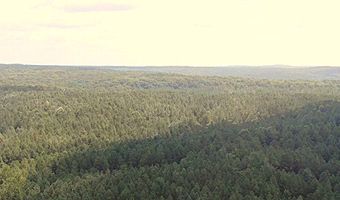 0 CR 437, Ashland, MS 38603
