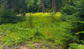 NNA Ginger Ln, Bonners Ferry, ID 83805