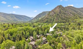 100 N Eigth St 24, Aspen, CO 81611