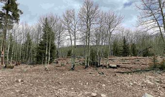 El Camino Real, Angel Fire, NM 87710